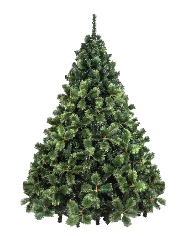 PINO SIBERIA MONOFILAMANTO 260 CMS