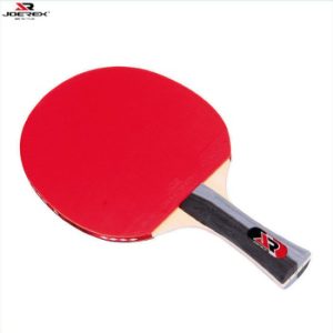 Raqueta para Ping Pong de mesa J101 - Arce Joerex