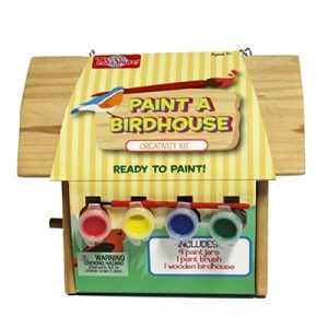 Set Pinturas Casa Pajaros
