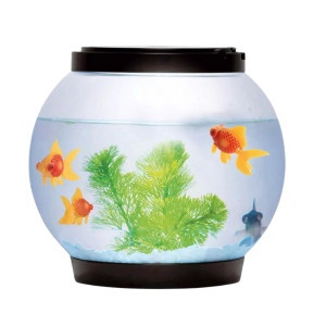 Acuario redondo vidrio luz led  21.5*21.5*17.8cm