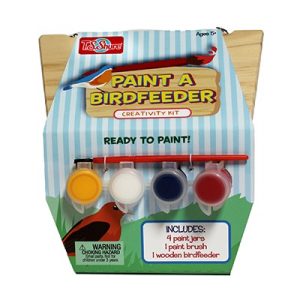Set Pinturas Comedero Pajaros