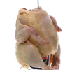 POLLO BORRACHO