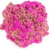 KINETIC SAND CONCHA X UNIDAD - Image 5