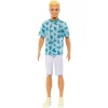 BARBIE KEN FASHIONISTAS