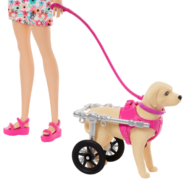BARBIE PASEO CON PERRITO EN SILLA DE RUEDAS - Image 4